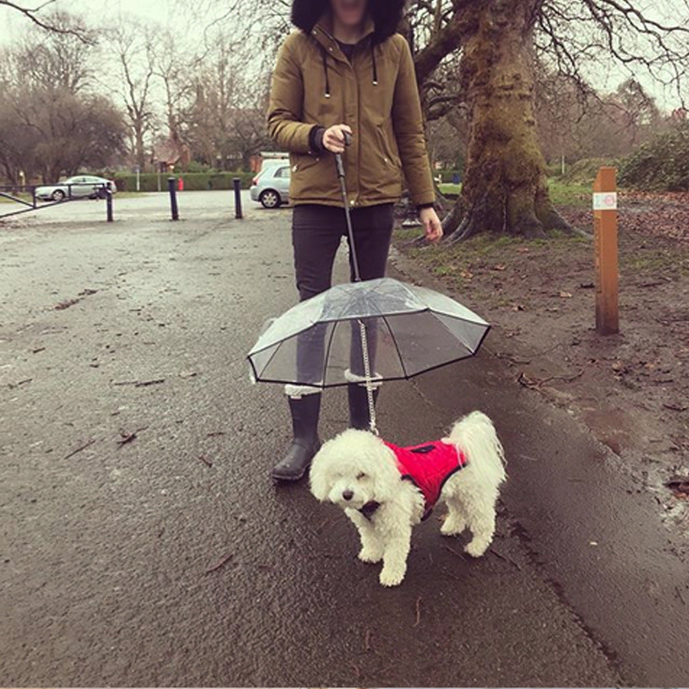 Dog Transparent Umbrella with Traction Chain