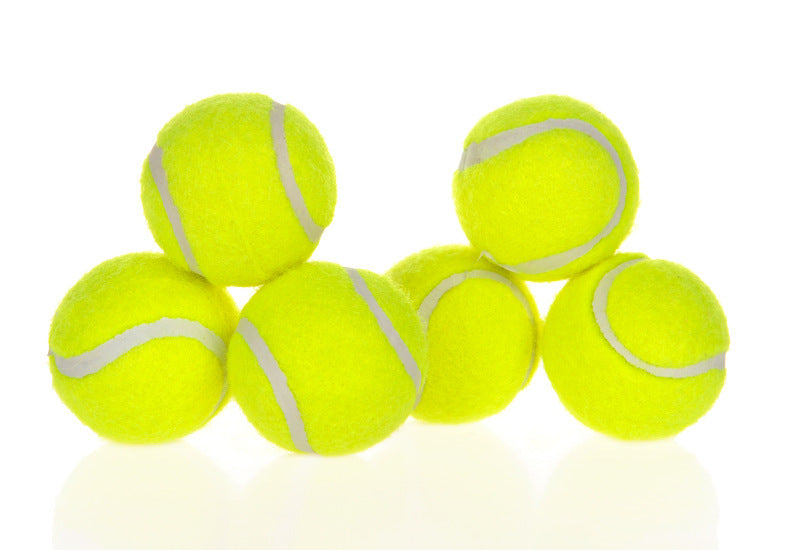 Dog Automatic Interactive Ball Launcher
