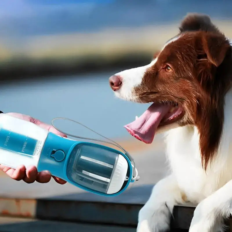 3-in-1 Dog Water Cup