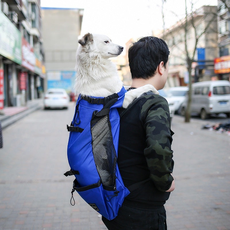 Double-Shoulder Pet Carrier Backpack
