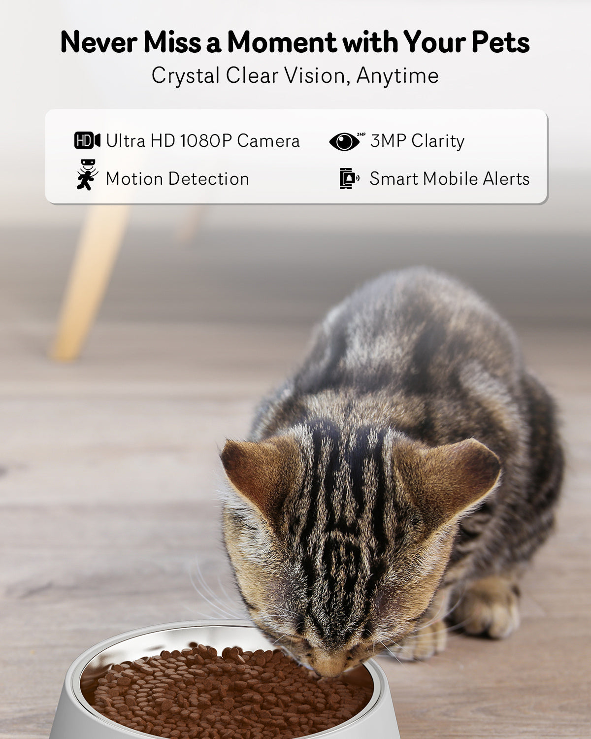 Smart Automatic Cat Feeder With Camera