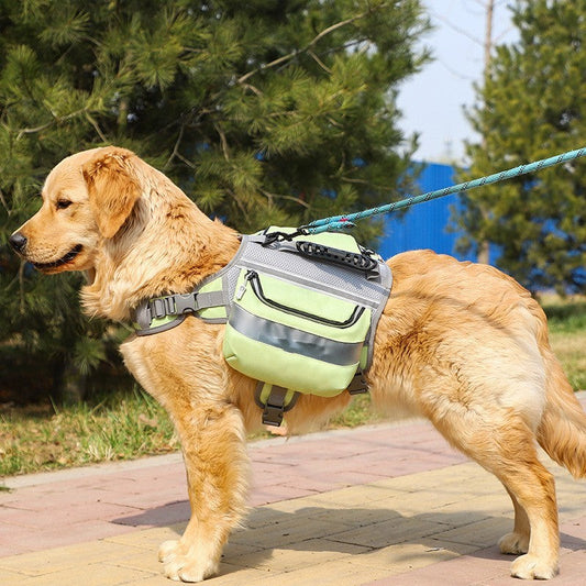 Top 5 Must-Have Pet Jackets for Cozy & Stylish Pets