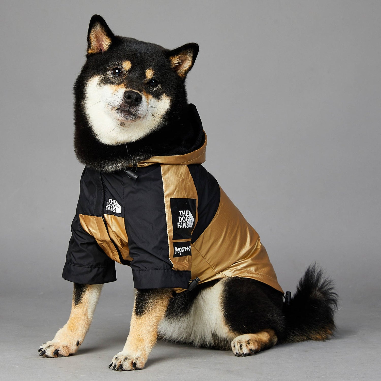 Pet Clothes