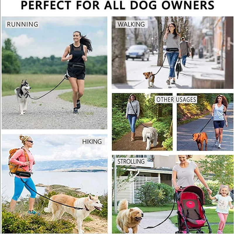 Hands-Free Dog Walking & Training Belt