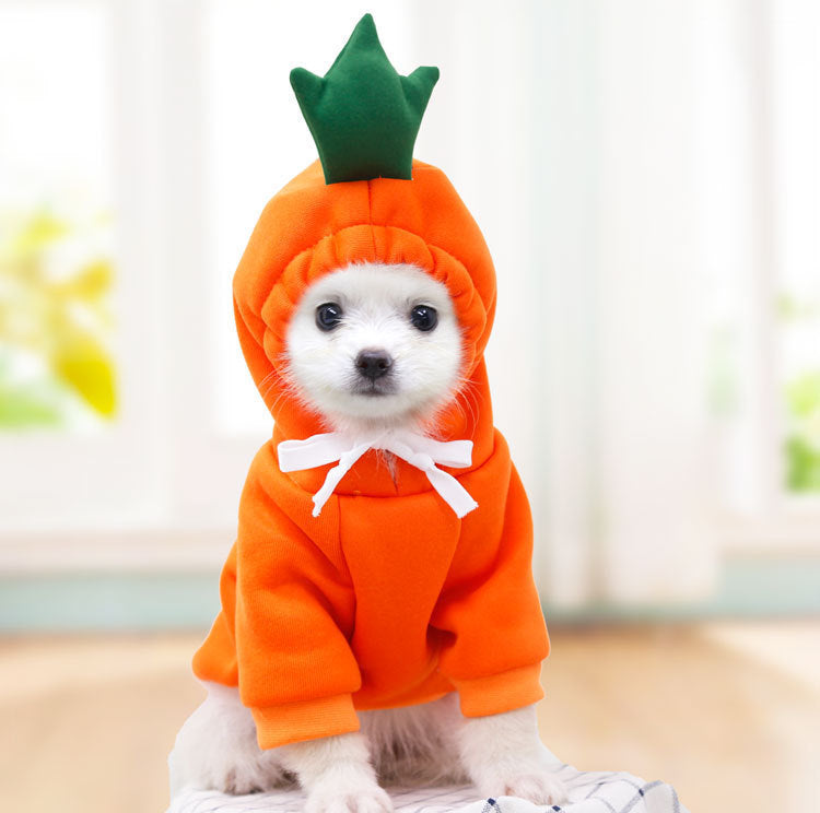 Cute Animal And Fruit Pet Clothes Hoodie