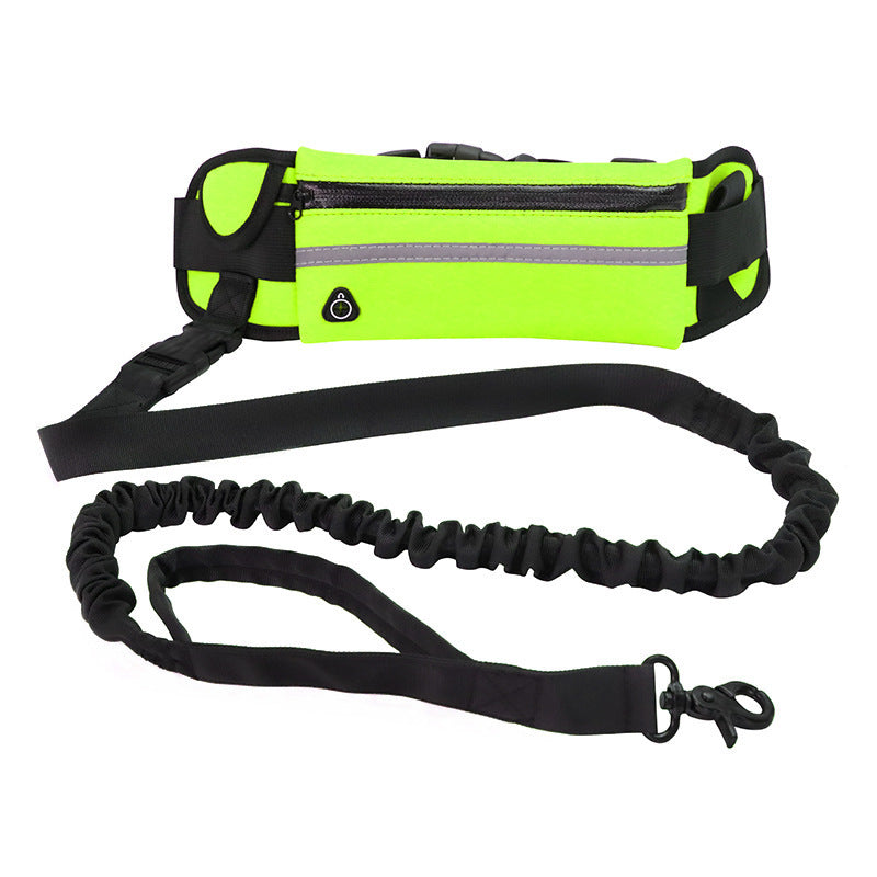 Hands-Free Dog Walking & Training Belt