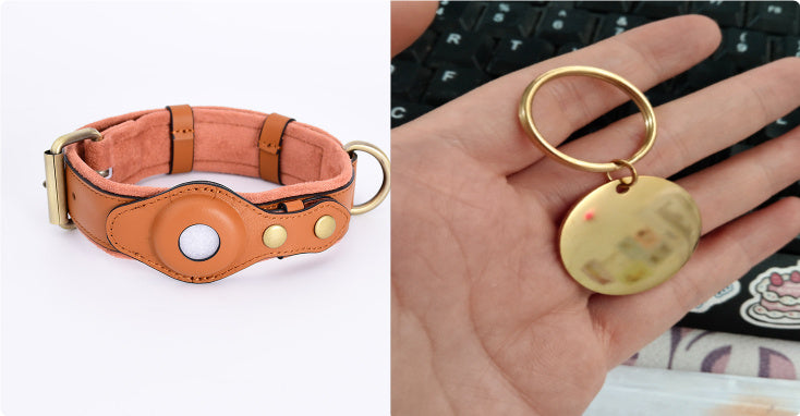 Protective Airtag Case Pet Anti-Lost Collar