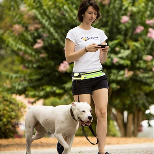 Hands-Free Dog Walking & Training Belt