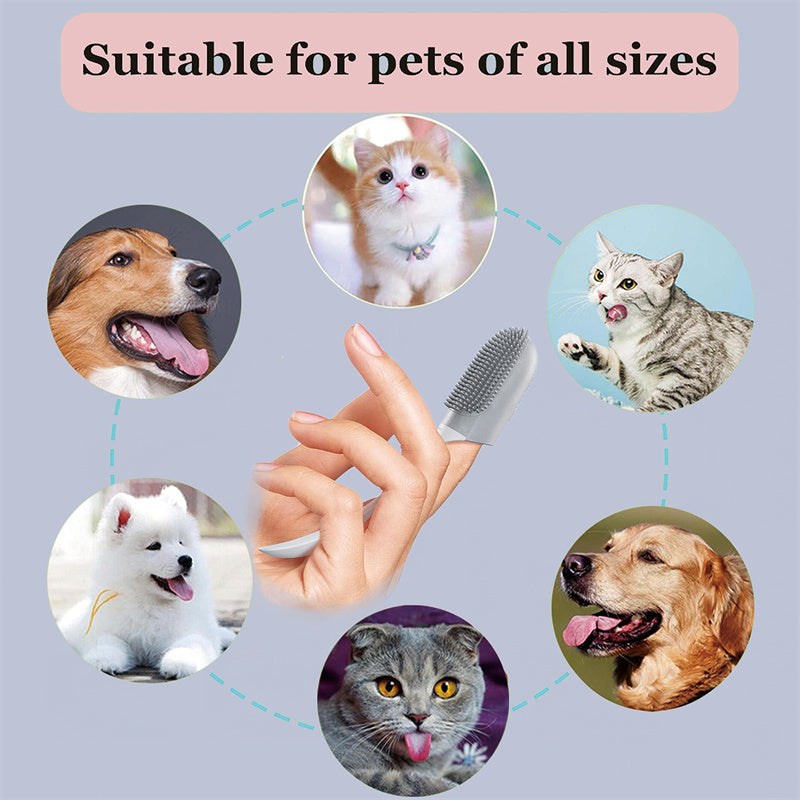 Pet Oral Cleaning Tool
