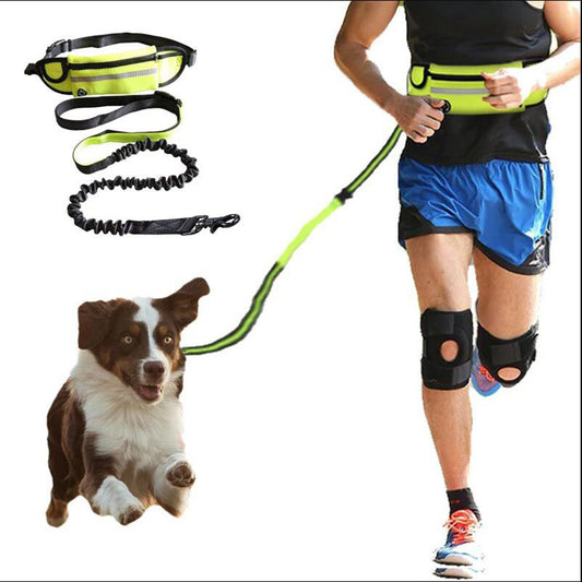 Hands-Free Dog Walking & Training Belt
