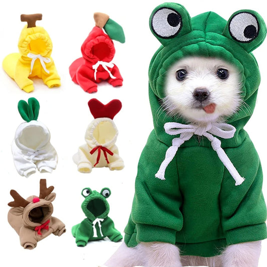 Cute Animal And Fruit Pet Clothes Hoodie