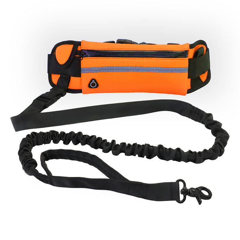 Hands-Free Dog Walking & Training Belt