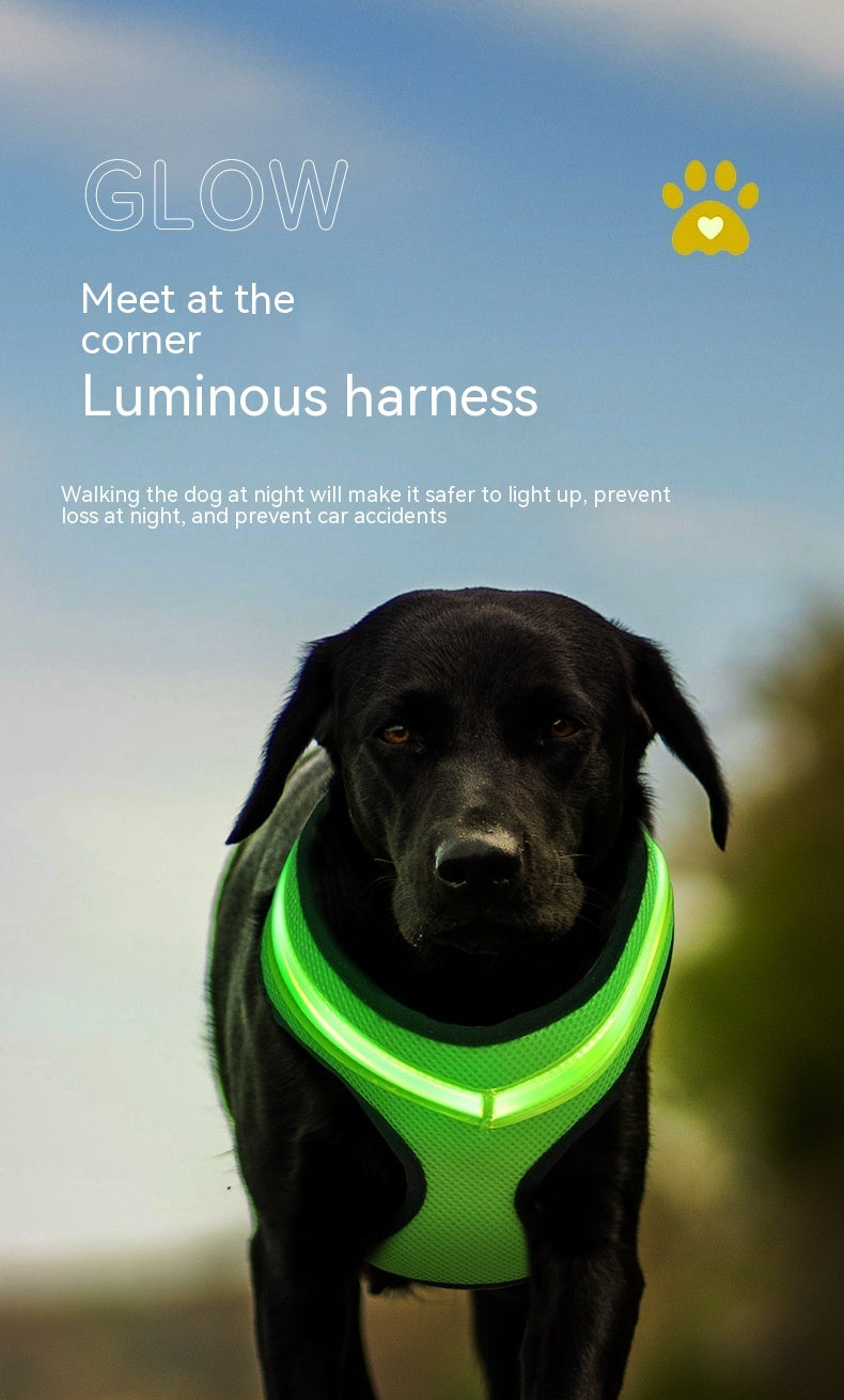 USB Rechargeable LED Luminous Pet Harness