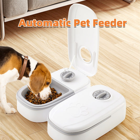 Great Automatic & Smart Feeder for Your Pet When You're Away From Home