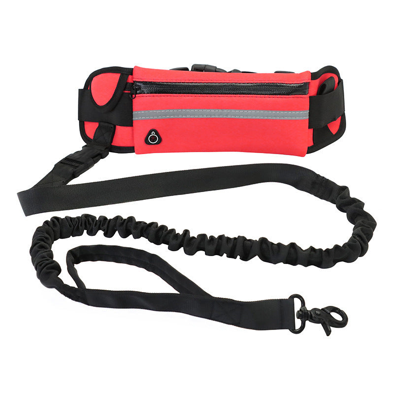 Hands-Free Dog Walking & Training Belt